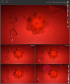 婚礼片头 喜庆 婚庆桃心 春节