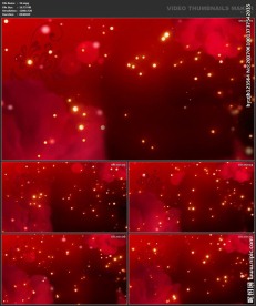 婚礼片头 喜庆 婚庆桃心 春节