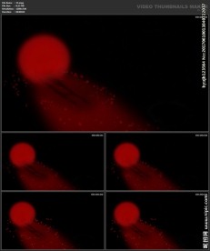 婚礼片头 喜庆 婚庆桃心 春节