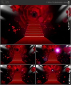 婚礼片头 喜庆 婚庆桃心 春节