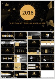 土豪金商务风企业介绍PPT