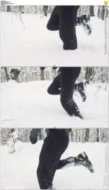 雪地奔跑
