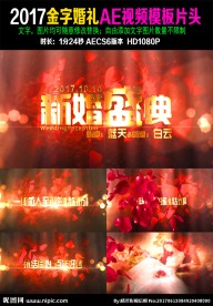 震撼大气金字婚礼AE视频模板