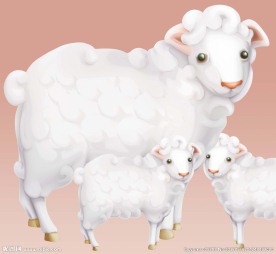 羊画像图片大全 羊画像设计素材 羊画像模板下载 羊画像图库 昵图网soso Nipic Com