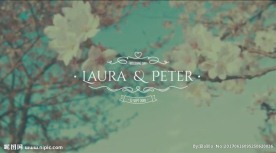 婚礼小清新字幕