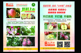 丰县大沙河苹果单页