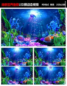 海洋系 海底世界 鱼群