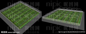 菜地大棚效果图