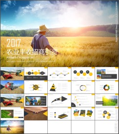 绿色生态农业招商农产品PPT模