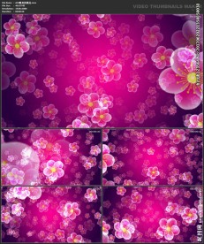 唯美浪漫 婚礼背景 喜庆节日