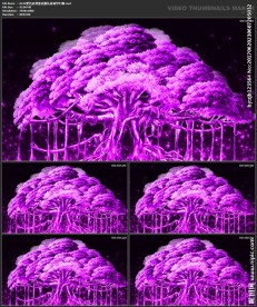 仙境梦幻 唯美浪漫 婚礼背景