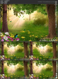 浪漫粒子 光晕 唯美粒子花朵