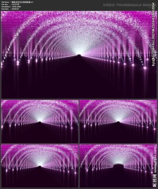 浪漫背景 婚礼婚庆 喷泉通道