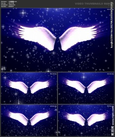 浪漫背景 婚礼婚庆 天使翅膀