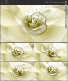 浪漫背景 婚礼婚庆 喜庆节日