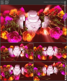 浪漫背景 婚礼婚庆 喜庆花朵