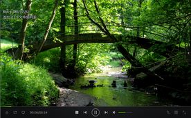 林中小桥流水 格式： MP4