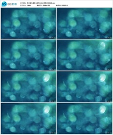 唯美镜头耀斑光影变幻动态背景