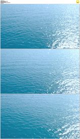 平静的绿色海水