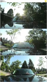 在街道林荫道开车