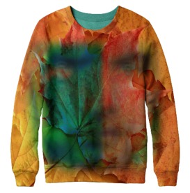 服装设计素材卫衣印花