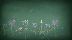 黑板手绘花朵动漫背景视频素材