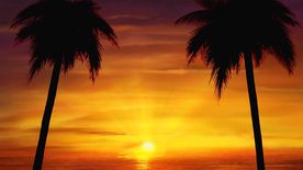 夕阳下的海滩视频素材