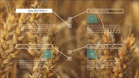 指示性标题文字说明