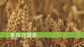 干净简单字幕条