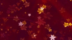 炫丽落花视频素材