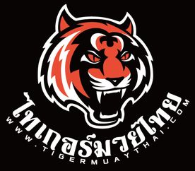 卡通老虎图标矢量