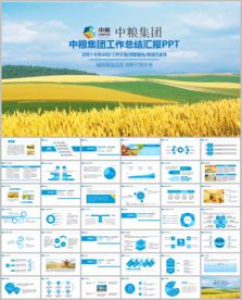 中粮集团有限公司工作总结PPT