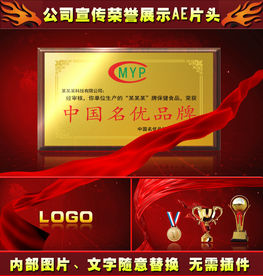 企业宣传证书奖牌展示ae片头