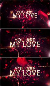 爱心玫瑰花瓣情人节