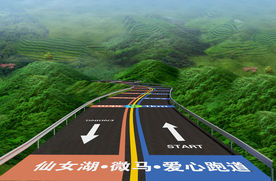 仙女湖微马队爱心跑道效果图