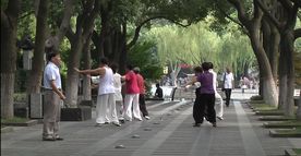 清晨公园打太极拳高清实拍