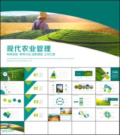 农业科技农业招商工作总结PPT