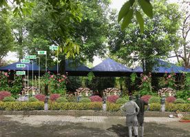 植物配置效果图设计