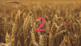 时尚图形动画与运动健身宣传片