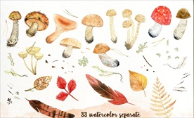 真菌食物高清透明底PNG格式