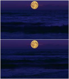 夜晚海浪月亮
