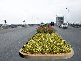 新余大桥景观护栏工程