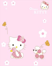 高清玻璃门 kt猫