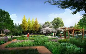 园林PSD效果图  景观设计