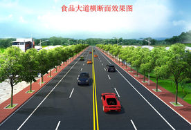 双向四车道效果图