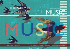 手机外包装动态视频AE模板