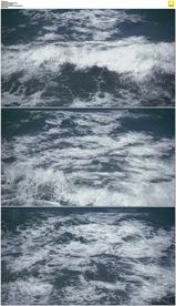大海浪花视频