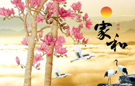 玉兰花