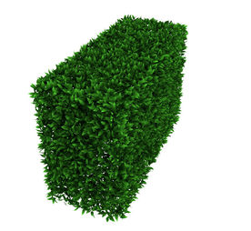 绿化带植物模型