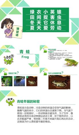 青蛙生态教育课件
